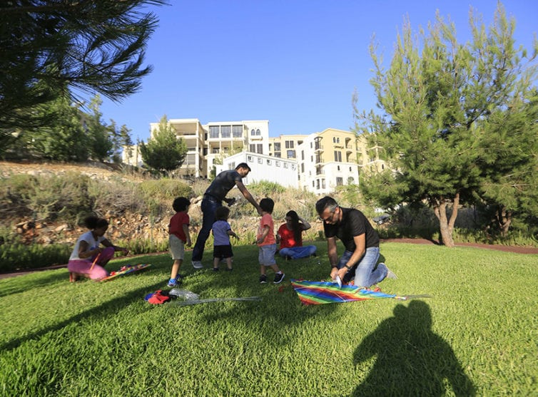 The Playground image